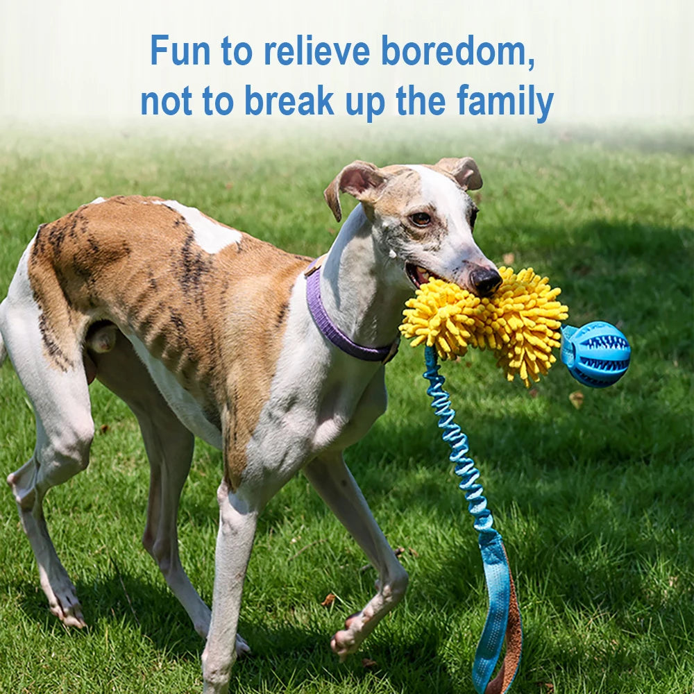 Colorful Bite Rope Wear-resistant Rope Tug Toy for Medium/Large Dogs -Toy with Durable Interactive Hidden Food Toy