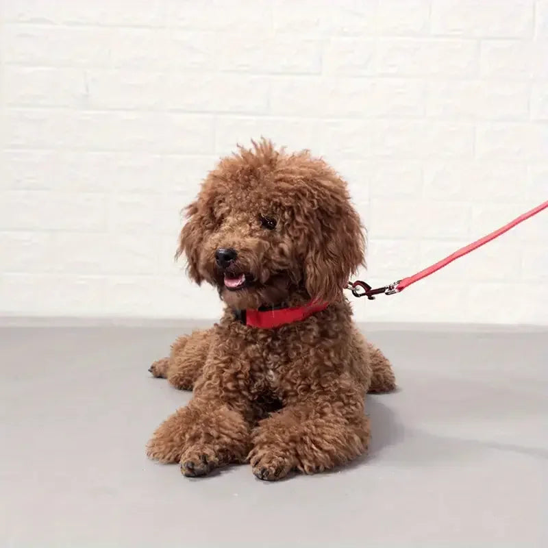 LED Safety Collar For Small And Medium Dogs - Adjustable, Flashing Glow For Night Walking