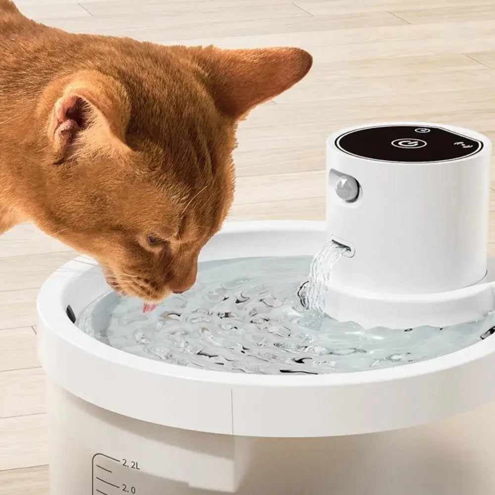 Cat drinking from Ultra-Quiet 2.2L Automatic Pet Water Fountain with flowing water.