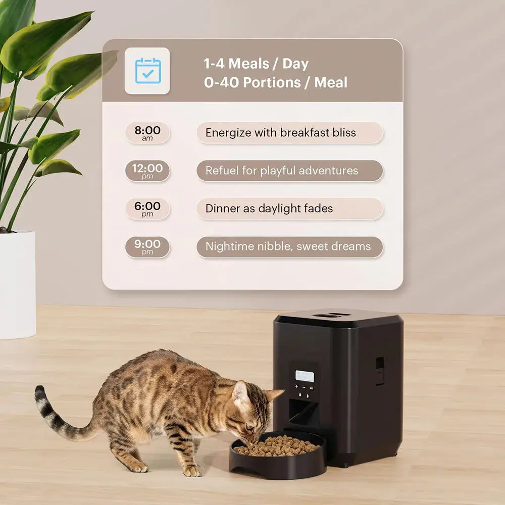 Smart Automatic Pet Feeder with Programmable Food Timer showing meal schedule for cats.