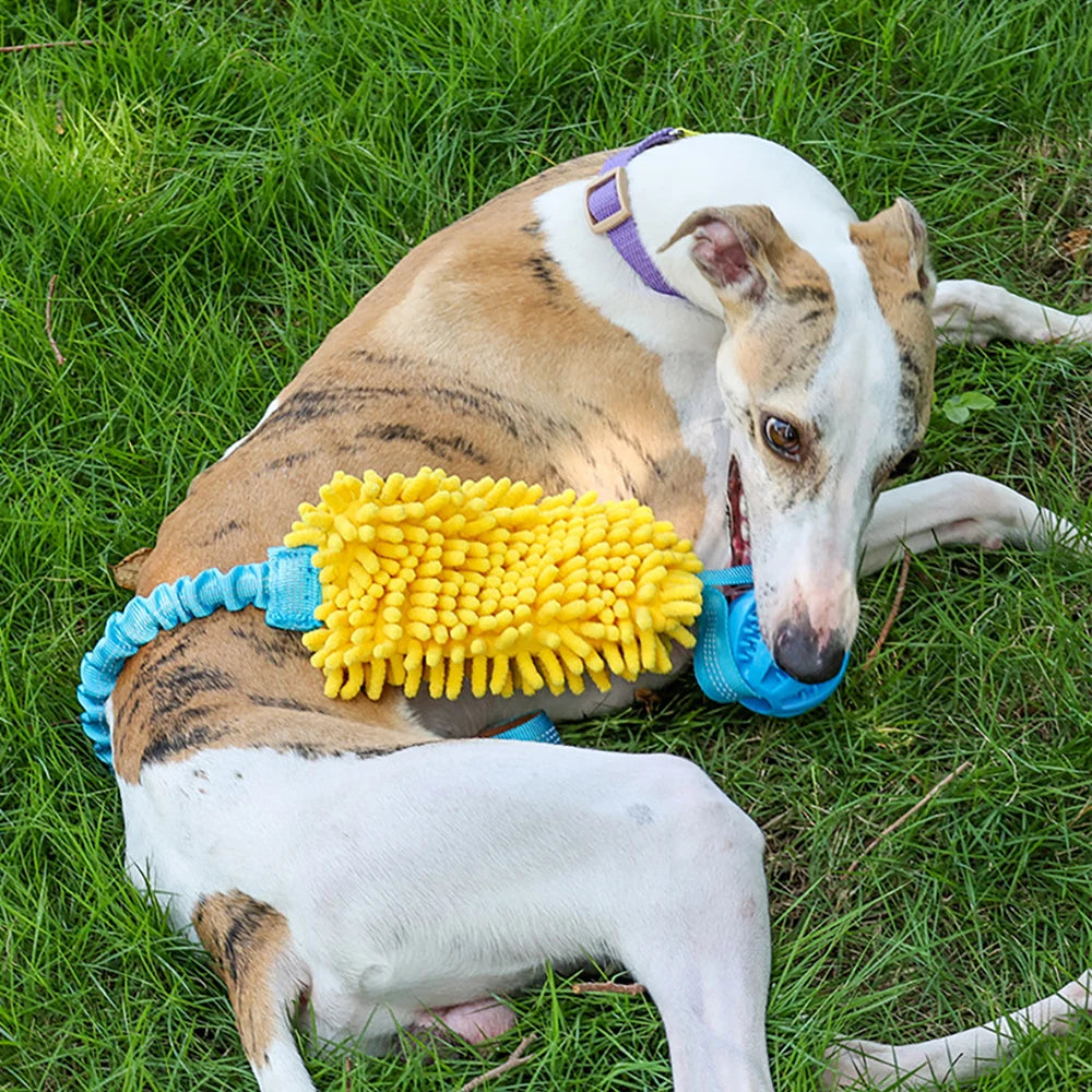 Colorful Bite Rope Wear-resistant Rope Tug Toy for Medium/Large Dogs -Toy with Durable Interactive Hidden Food Toy