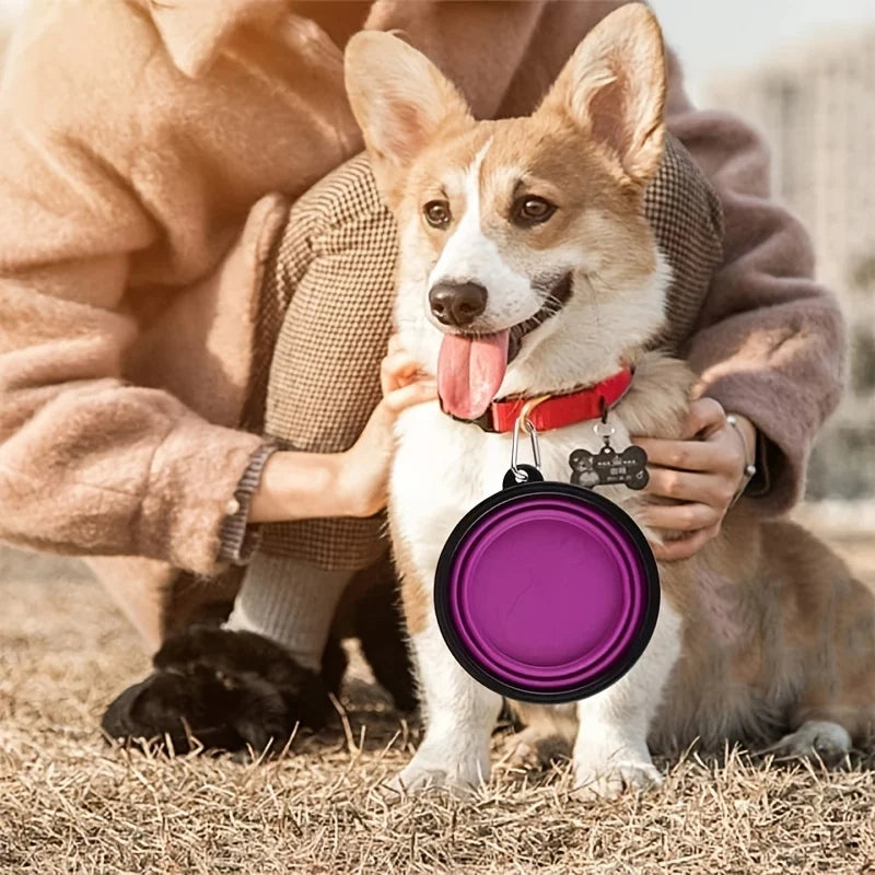 Collapsible Silicone Pet Travel Food & Water Bowl