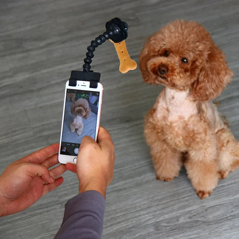 Pet Selfie Stick with Treat Holder