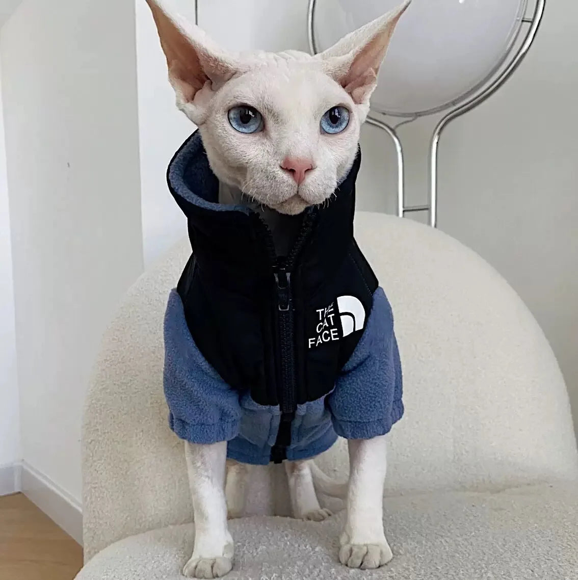 Fashion Handmade Sphynx Cat Clothes Soft Kitten Cat Jacket Luxury Warm Costumes For Sphinx Devon Cat ropa para gato