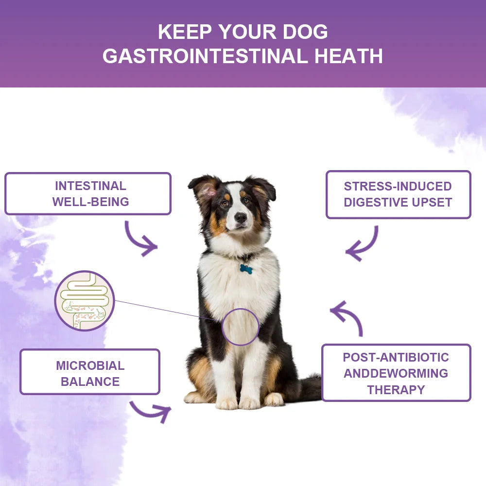 NUTRIDOG Dog Calming Supplement Chews Supports Gut Health Digestive Balance Seasonal Allergy Relief Itchy Skin Relief 120 PCS/Bo