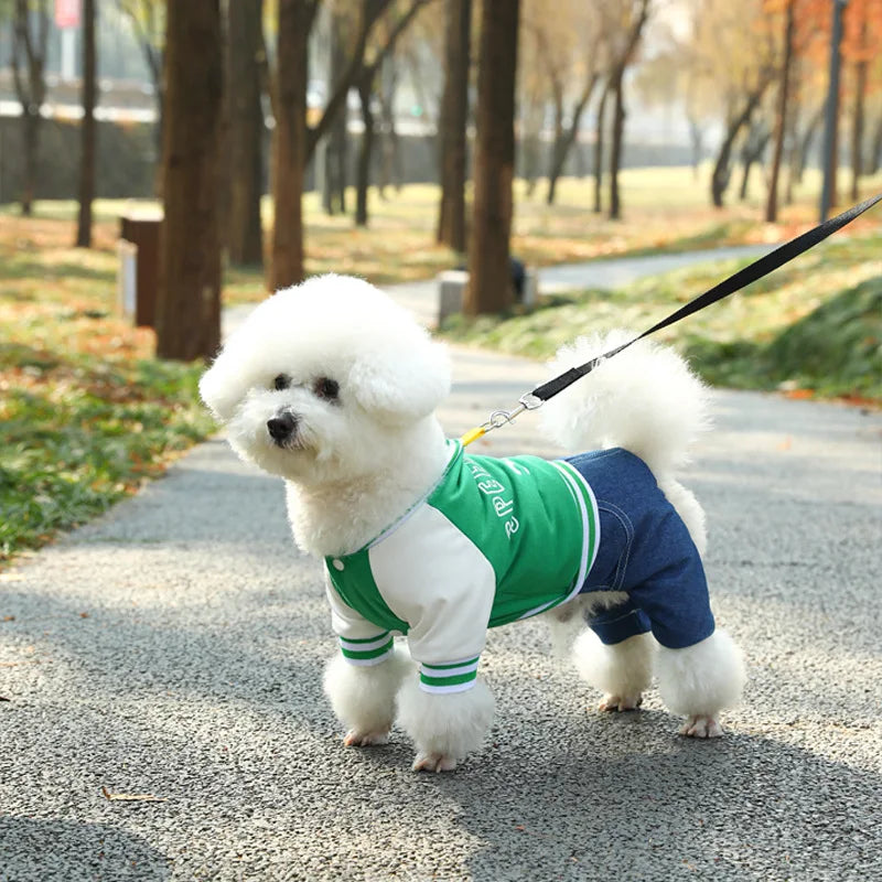 Dog College Jacket with 4-Leg Denim Design