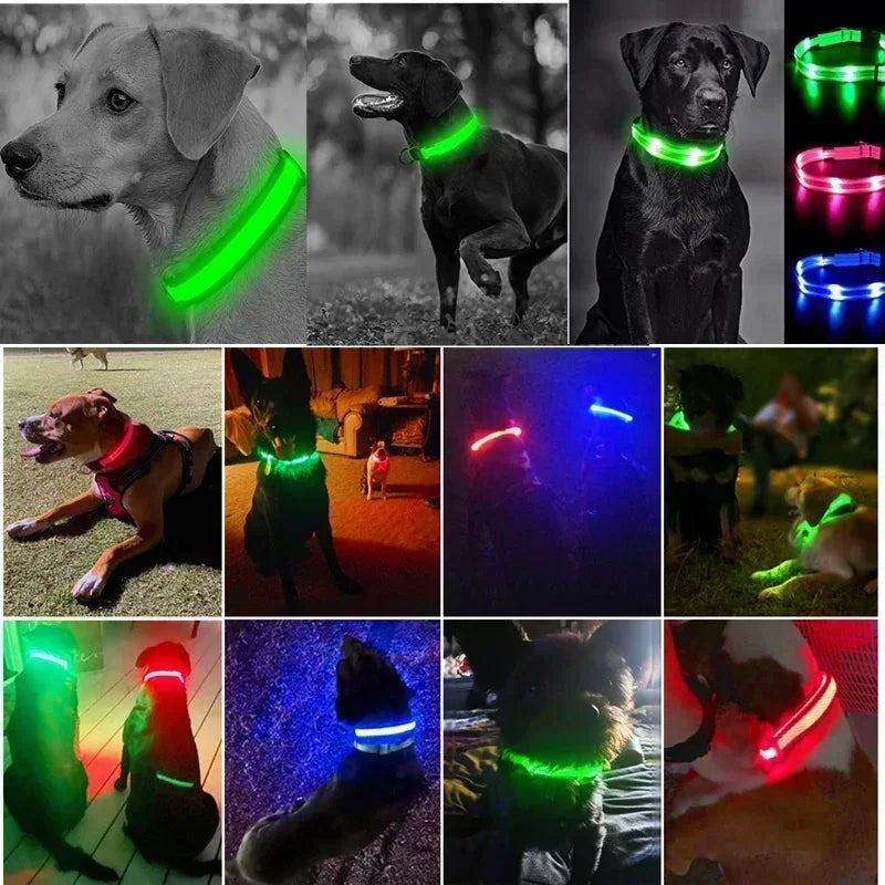 Dog Collar With LED Glowing Adjustable Flashing Rechargea Luminous Collar Night Anti-Lost Dog Light Harness for Small Dog